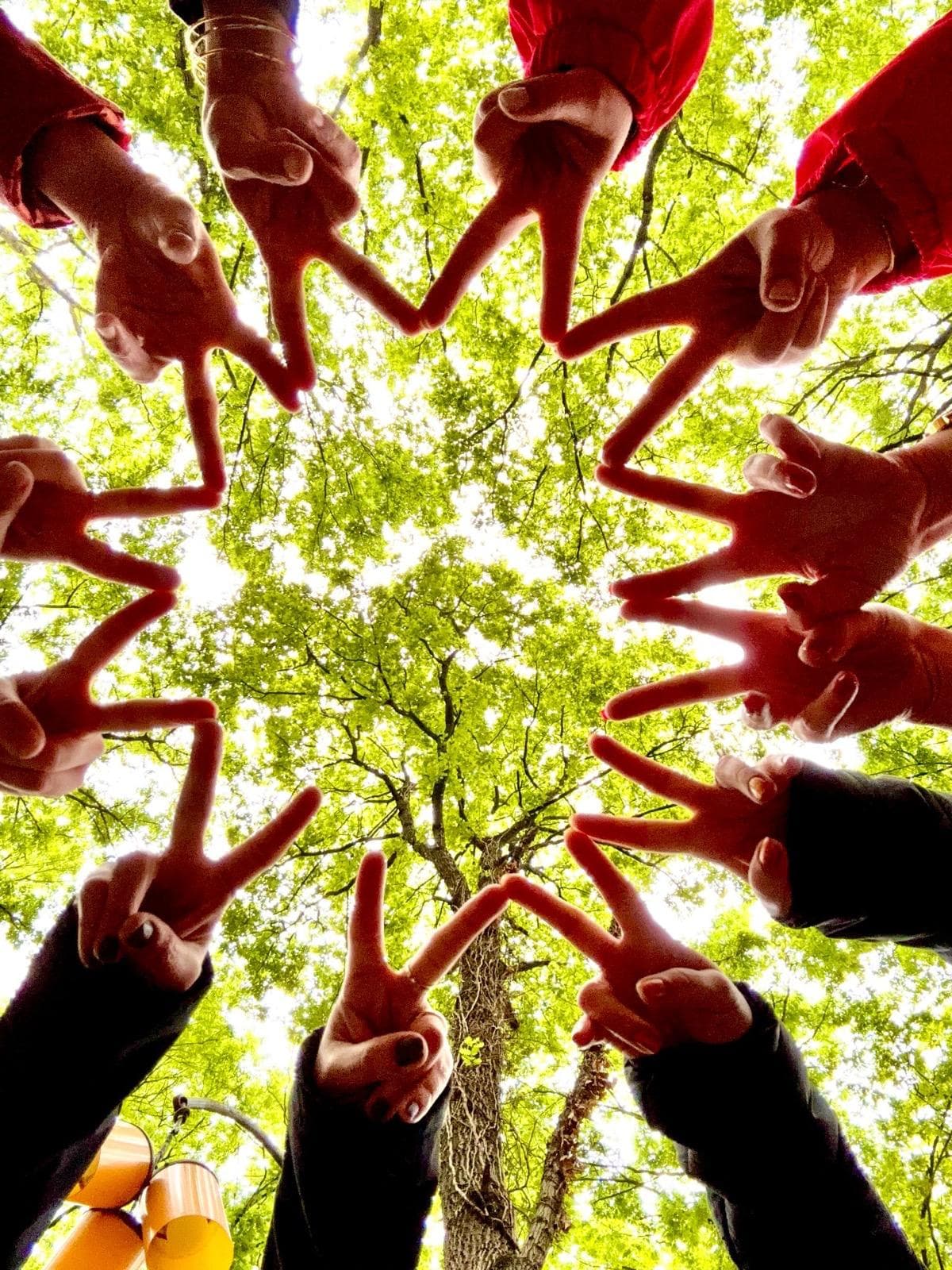 Orman yürüyüşü - Aydın doğa etkinliği