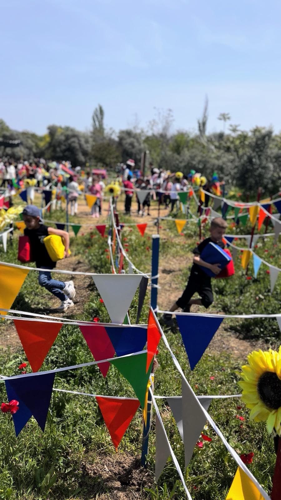 Orman okulu - doğada eğitim